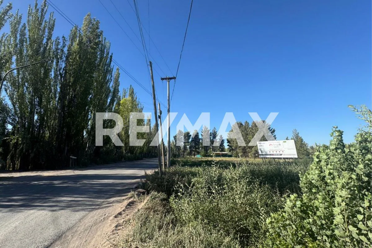 VENTA LOTE COMERCIAL EN POZO I LOTEO EL PINAR foto 2