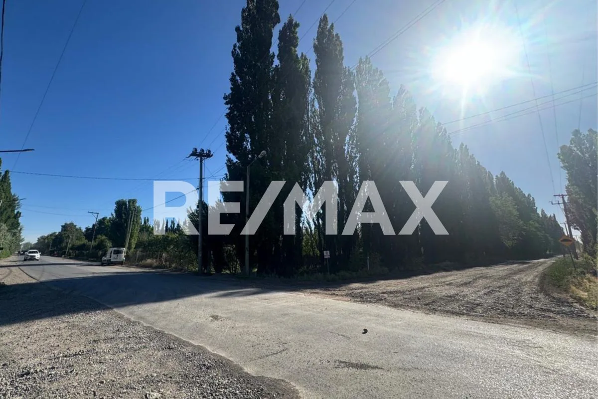 VENTA LOTE COMERCIAL EN POZO I LOTEO EL PINAR foto 3