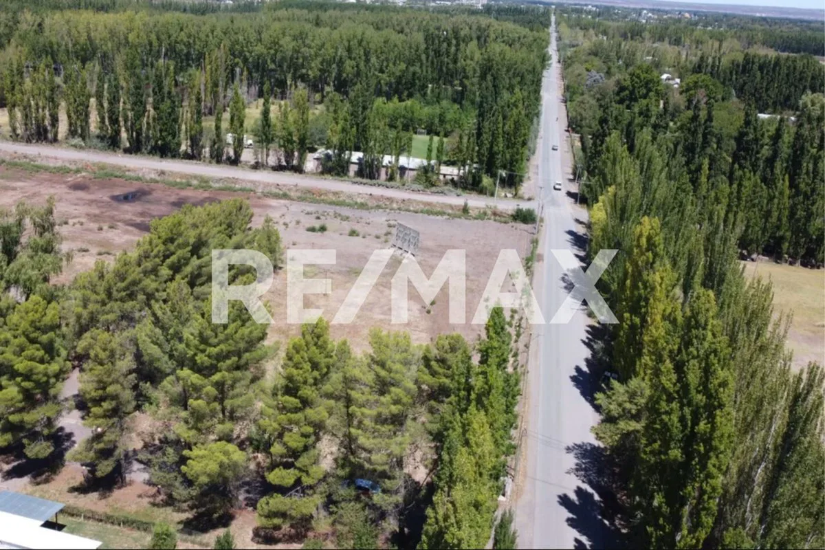 VENTA LOTE COMERCIAL EN POZO I LOTEO EL PINAR foto 4