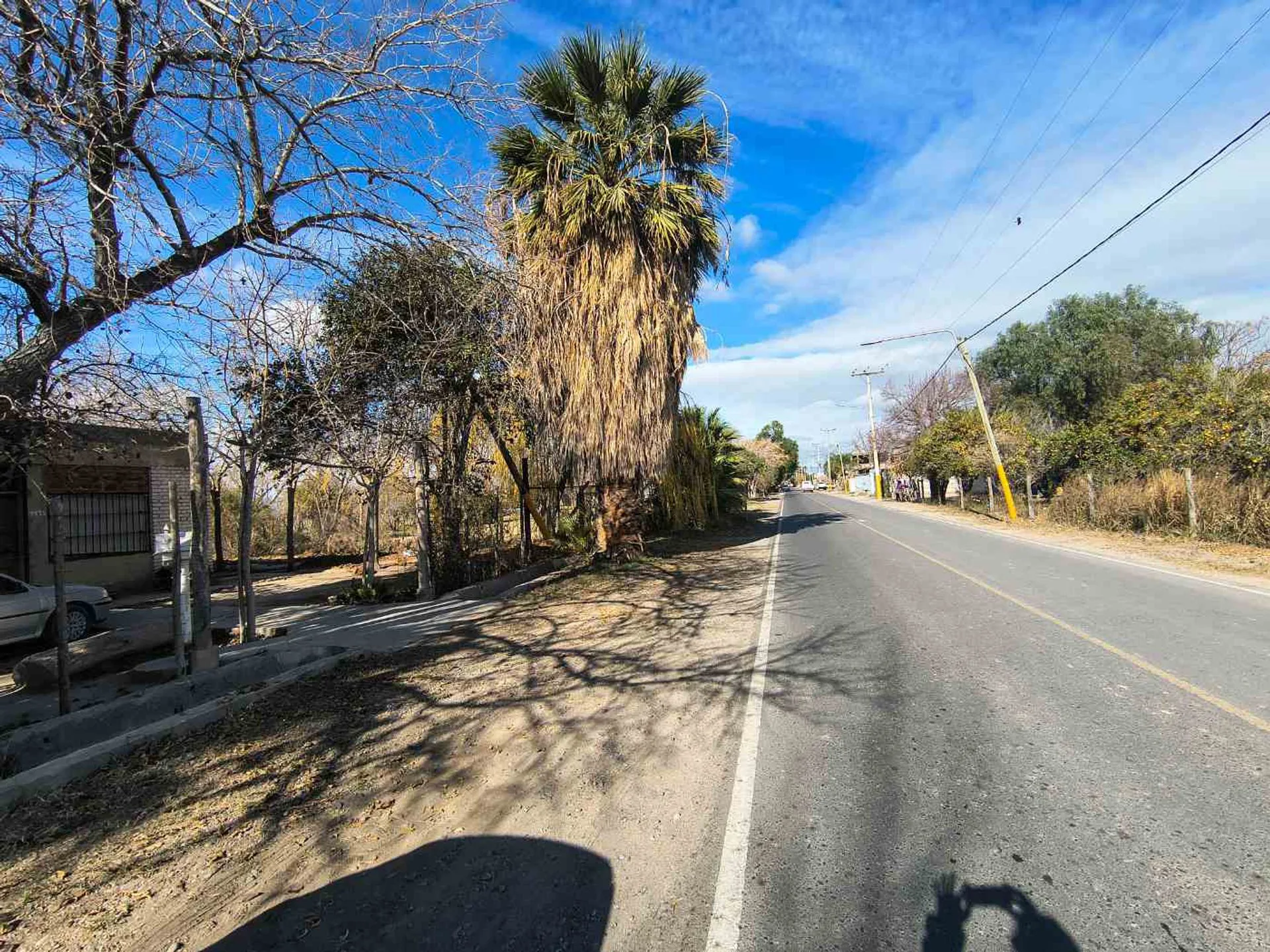 VENTA TERRENO DE 26940 M2 SANTA LUCIA foto 2