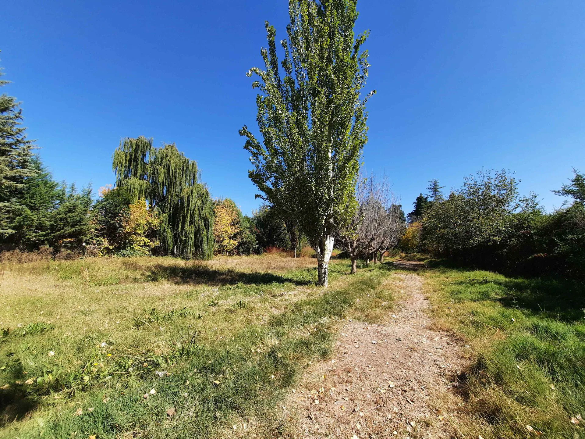 Venta de Lote,ideal comercial, sobre Guardia Vieja foto 3