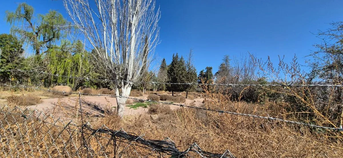 Venta de Lote,ideal comercial, sobre Guardia Vieja foto 5