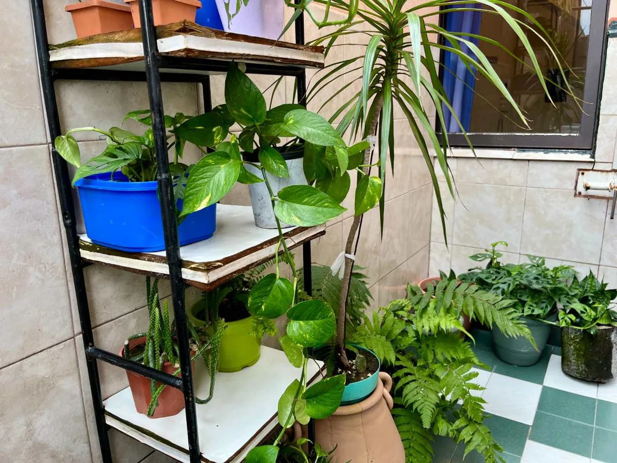 VENTA DEPARTAMENTO 3 DORM EN AV COLON CON TERRAZA foto 5