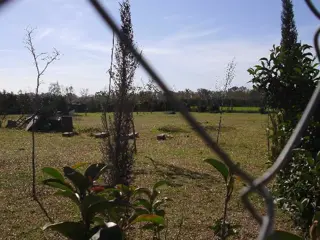 Oliveros: Terrenos de 484 m2 en Venta financiados en Barrio de Quintas,Oliveros, Santa Fe, Argentina foto 5