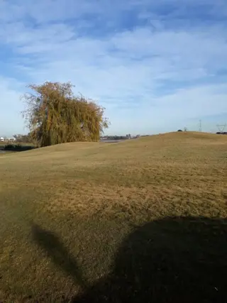 Ultimos Lotes En Country Buenos Aires Golf. Financ. Privada foto 4