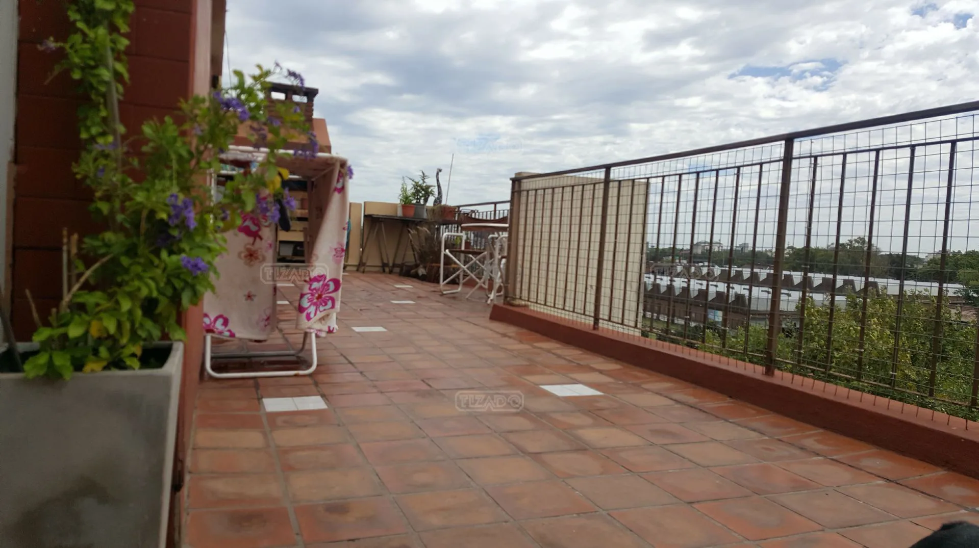 echenagucia foto 4
