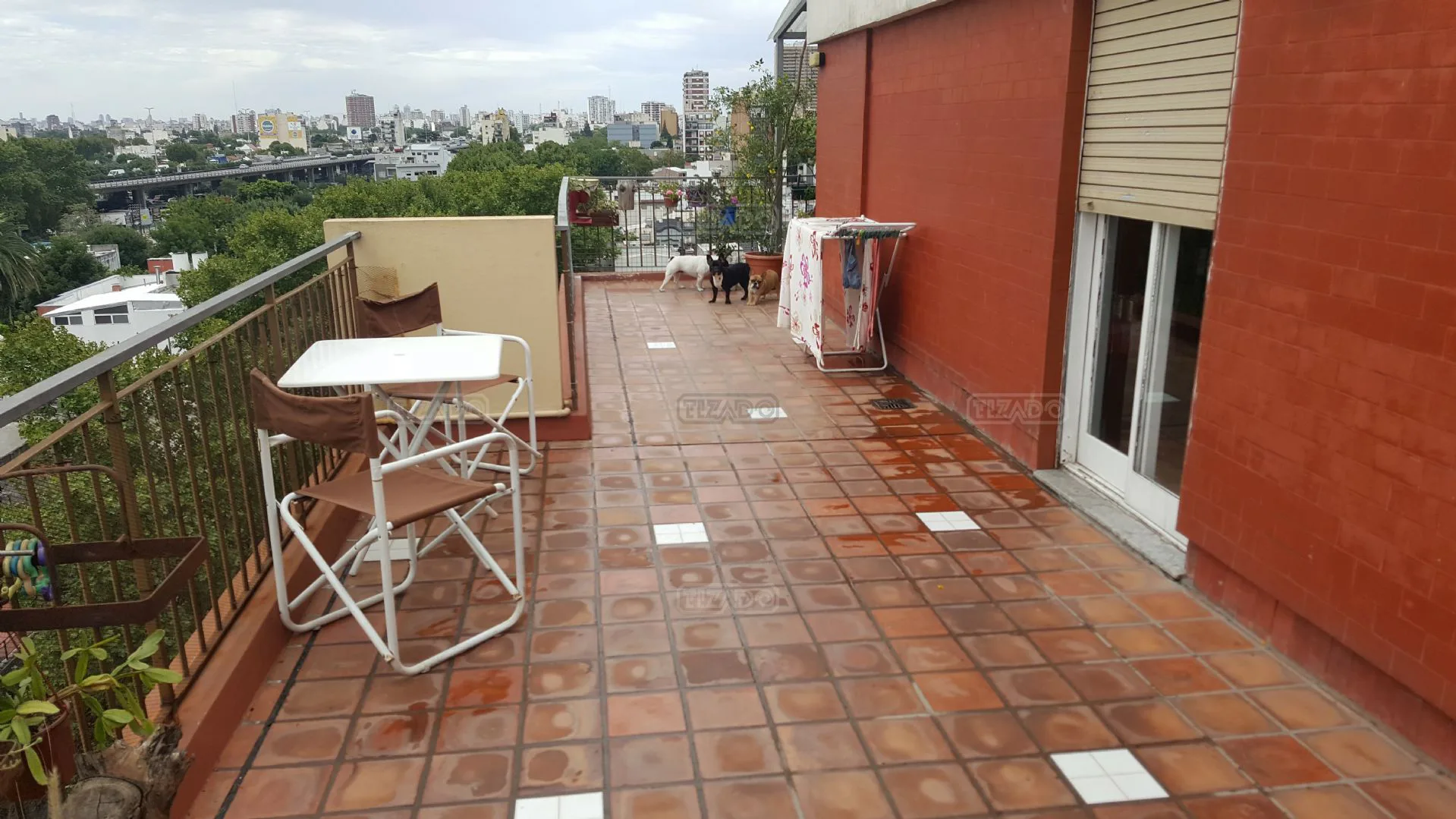 echenagucia foto 5