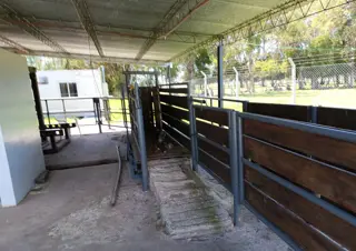 CAMPO - CABAÑA - PLANTA ALIMENTOS EN VENTA EN PUNTA INDIO foto 1