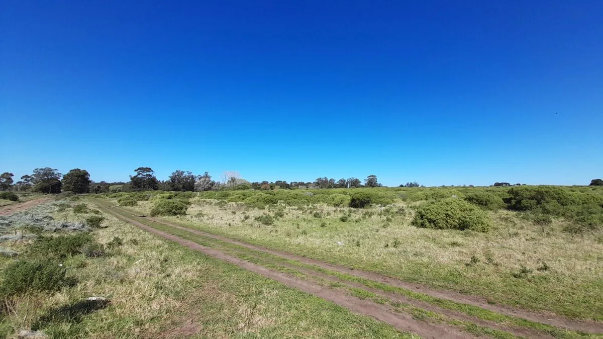 VENTA LOTE 23.000m2 ZONA SUR MAR DEL PLATA foto 3