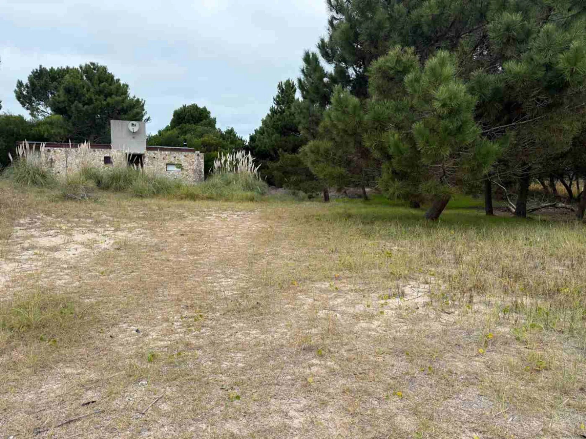 LOTE EN OPORTUNIDAD EN LAS GAVIOTAS foto 4