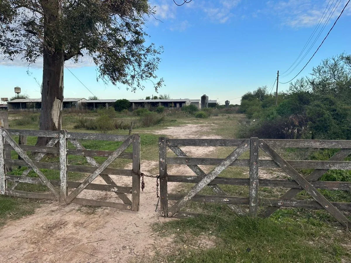 HECTAREAS A METROS DE RUTA 19 KM 4,5 foto 2