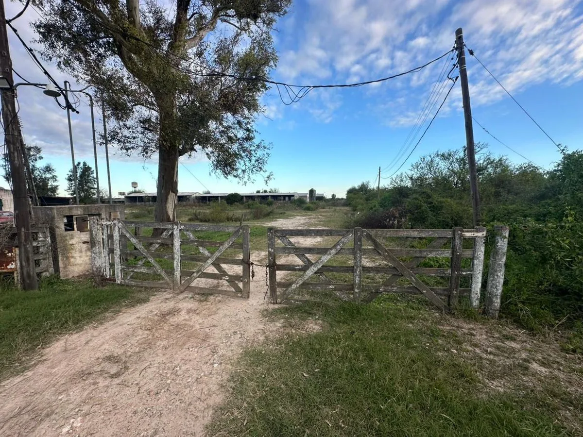 HECTAREAS A METROS DE RUTA 19 KM 4,5 foto 3