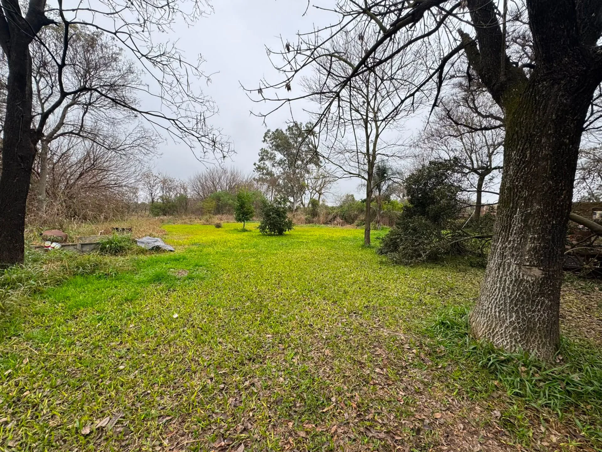 SE VENDEN 2 HECTAREAS CON CASA Y GALPON RECREO SUR foto 4