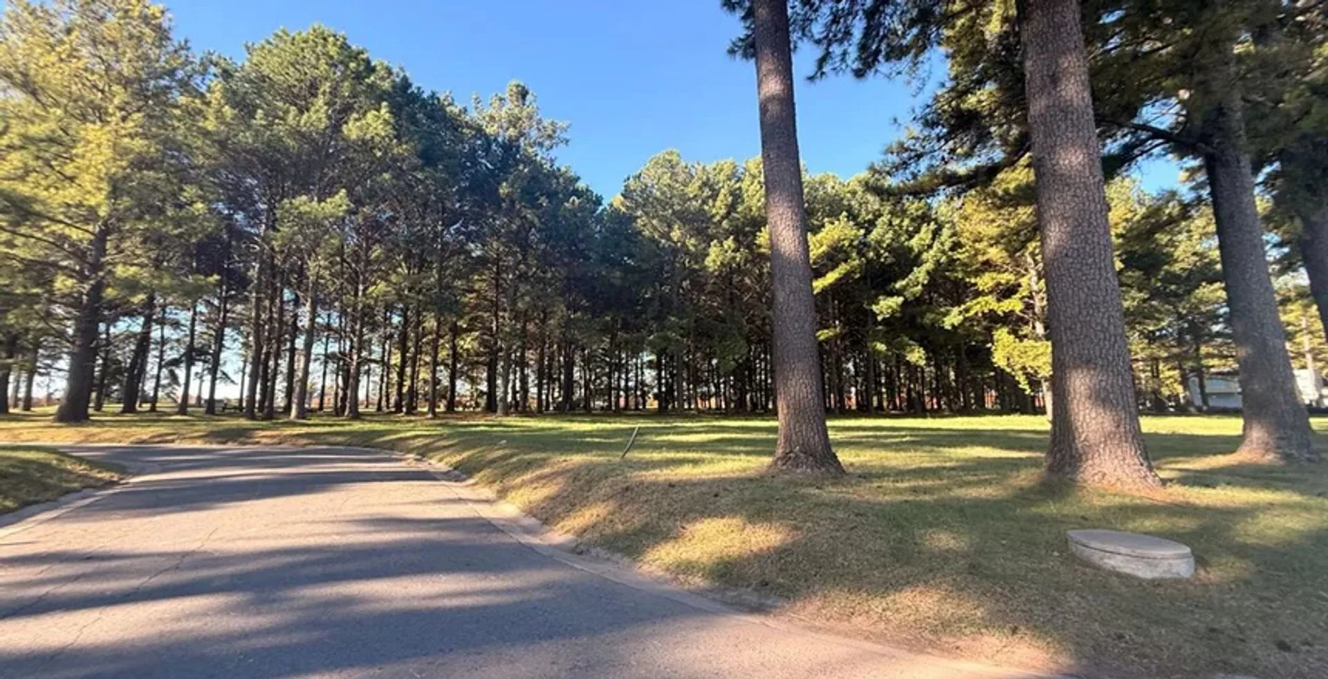 VENTA DE TERRENO EN PINARES ACEPTA PERMUTA foto 3