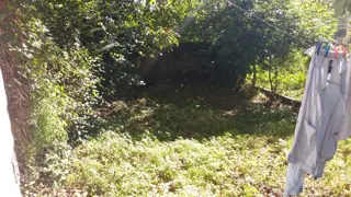Hermosa casa zona fantasio a una cuadra del rio. foto 3