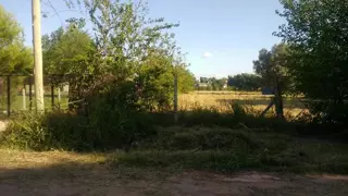 ALQUILER EXCELENTE LOTE Fcio. Varela foto 4