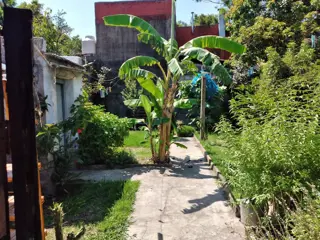 Casa  para  remodelar foto 2