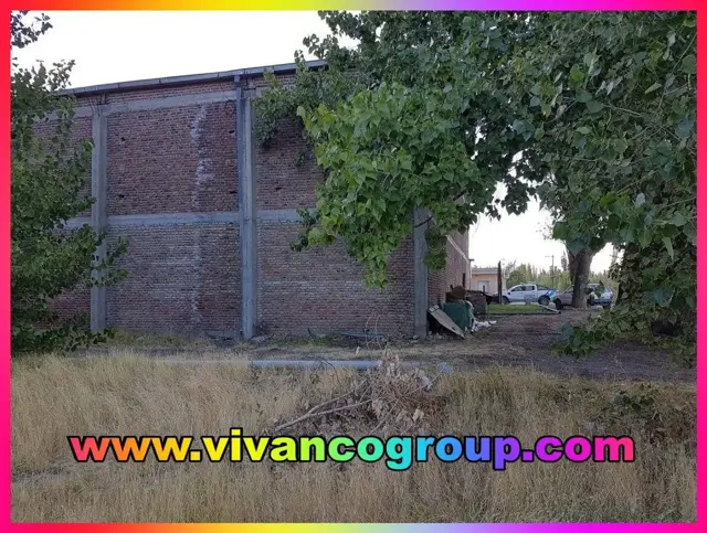 Se vende Galpón 3300 m2. - Zona chacras - Cinco Saltos - Provincia deRío Negro