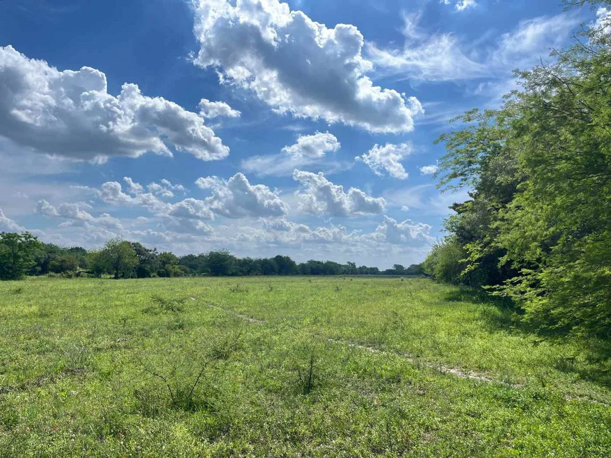 6,6 HECTAREAS EN VENTA - SAUCE VIEJO SOBRE RUTA 11 foto 2