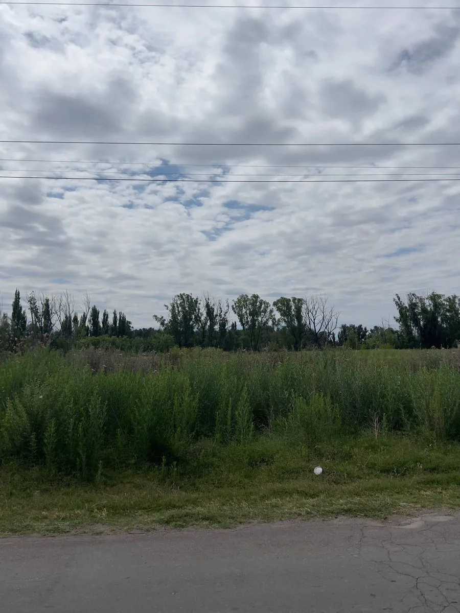 LOTE EN VENTA , LA CONSULTA , SAN CARLOS foto 3
