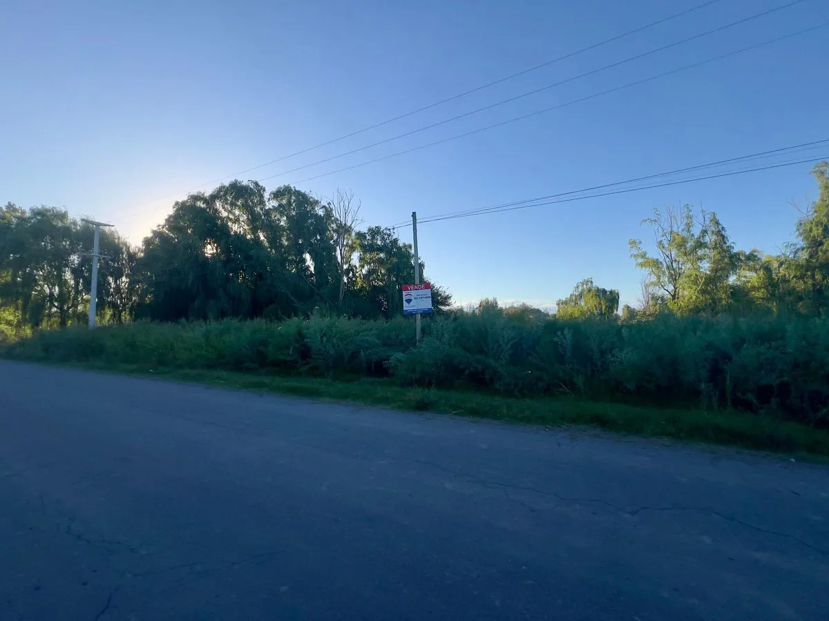 LOTE EN VENTA , LA CONSULTA , SAN CARLOS foto 4