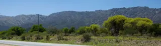 Cuatro Cabañas de Tronco - Villa Larca foto 1