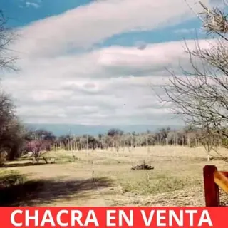 CHACRA EN VENTA EN SANTA ROSA DEL VALLE DEL CONLARA, SAN LUIS foto 4