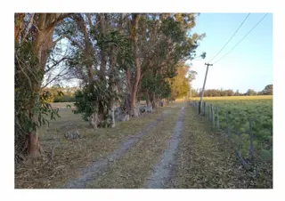 CAMPO en Venta en Punta Indio - 8 hectáreas foto 3