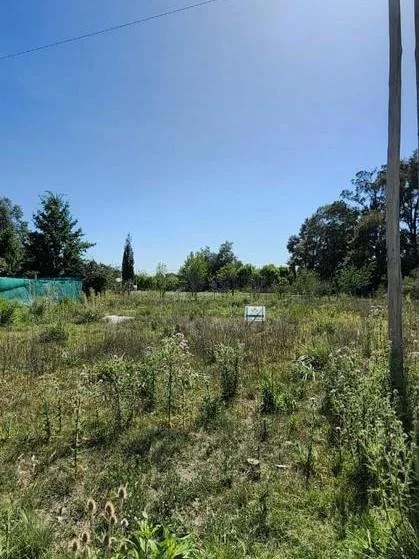 Lote Sobre Calle 26 De Julio, Pueblo Nuevo, Luján En Venta foto 2