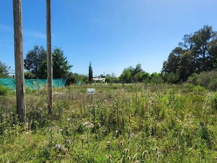 Lote Sobre Calle 26 De Julio, Pueblo Nuevo, Luján En Venta foto 3
