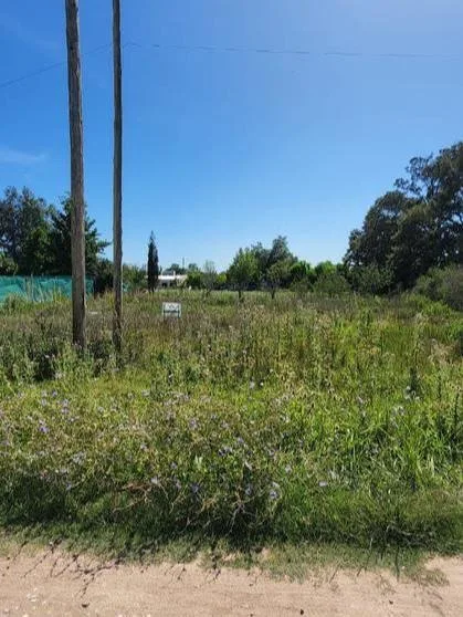 Lote Sobre Calle 26 De Julio, Pueblo Nuevo, Luján En Venta foto 4