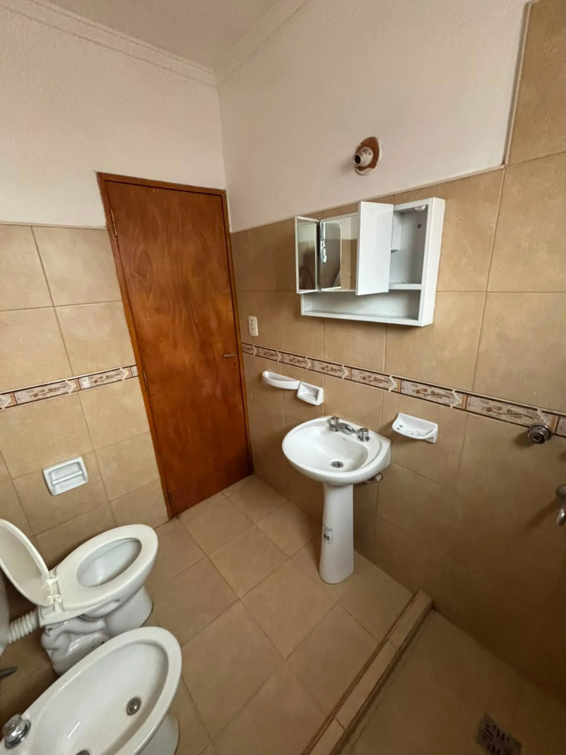 Depto de 1 dormitorio en alquiler - Santo Tomè foto 4