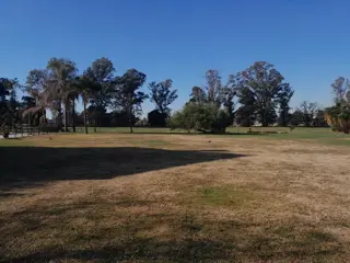 VENTA LOTE 1000 MTS - PILAR GOLF - B. PEVERO foto 2