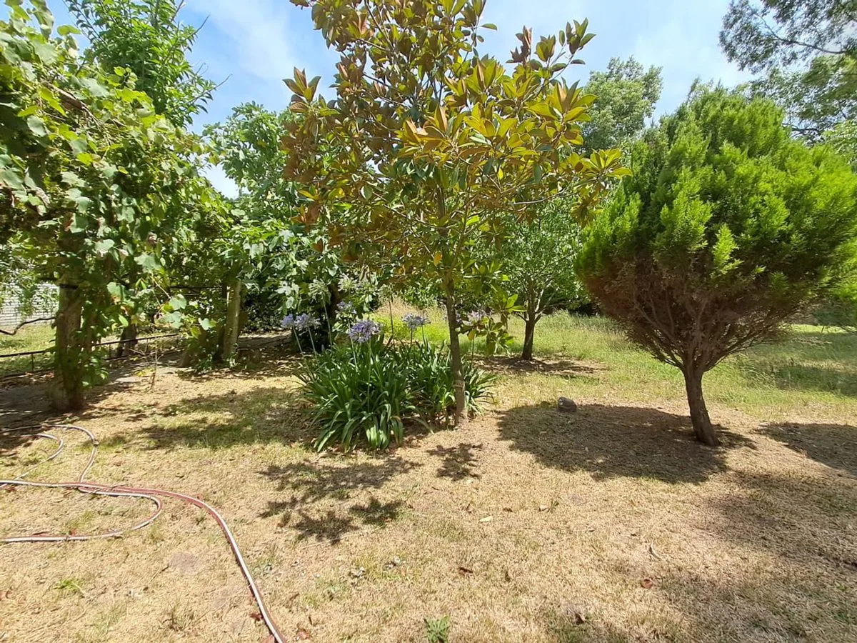 VENTA CASA QUINTA SOBRE 2 TERRENOS ALEJANDRO KORN foto 4