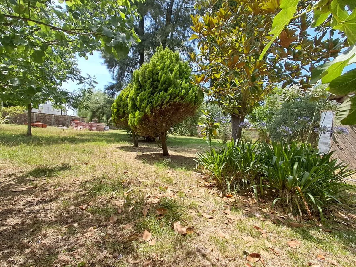 VENTA CASA QUINTA SOBRE 2 TERRENOS ALEJANDRO KORN foto 5