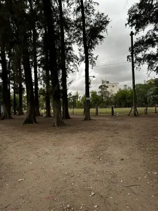 Oportunidad terreno en alquiler foto 3