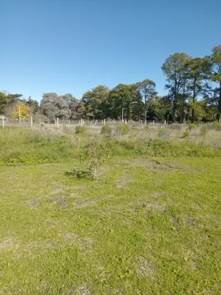 SE VENDEN  LOTES  FINANCIADOS  BARRIO LUNA  EN LUJAN foto 4
