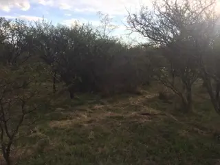 Lote de terreno / villa de las rosas foto 4