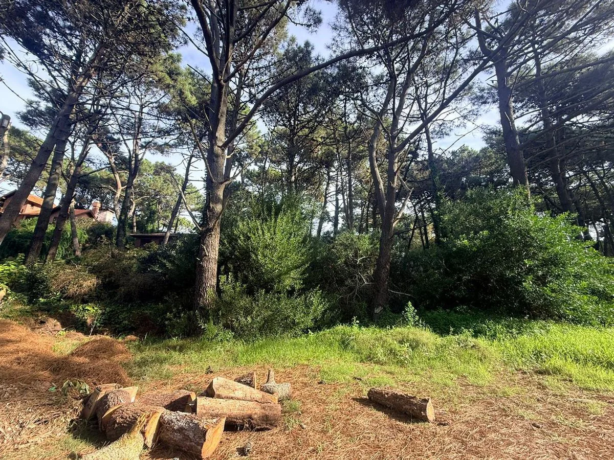 Lote en Venta PINAMAR NORTE foto 2