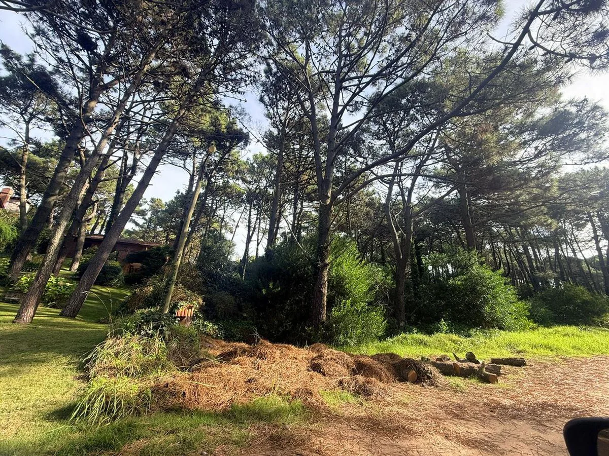 Lote en Venta PINAMAR NORTE foto 3