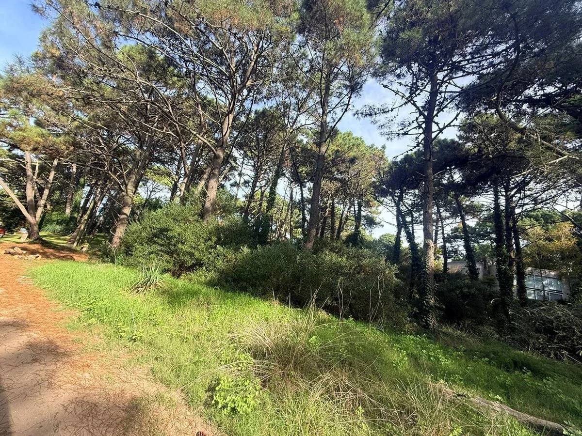 Lote en Venta PINAMAR NORTE foto 4