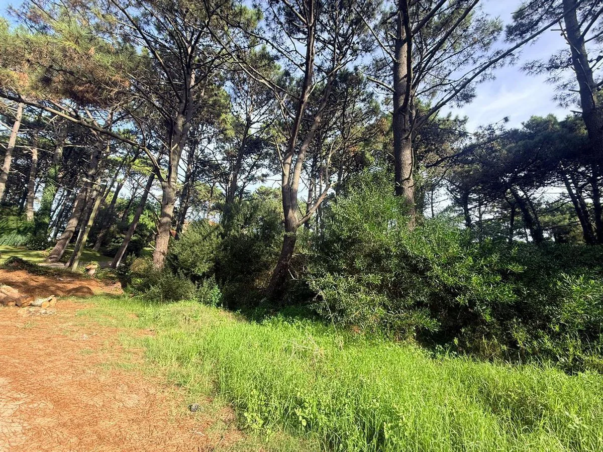 Lote en Venta PINAMAR NORTE foto 5