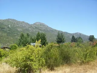 Excelente Fracción en Lago Puelo. foto 1