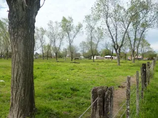 VENTA DE LOTES EN LA LOCALIDAD DE HERRERA foto 2