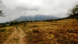 Venta Terreno 8 ha - Autopista 25 de Mayo 1500 - San Luis foto 1