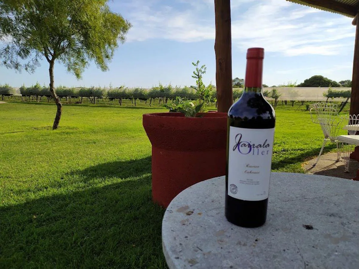 CAMPO 11 HECTAREAS DE VIÑEDO CASA BODEGA 866 M2 foto 4