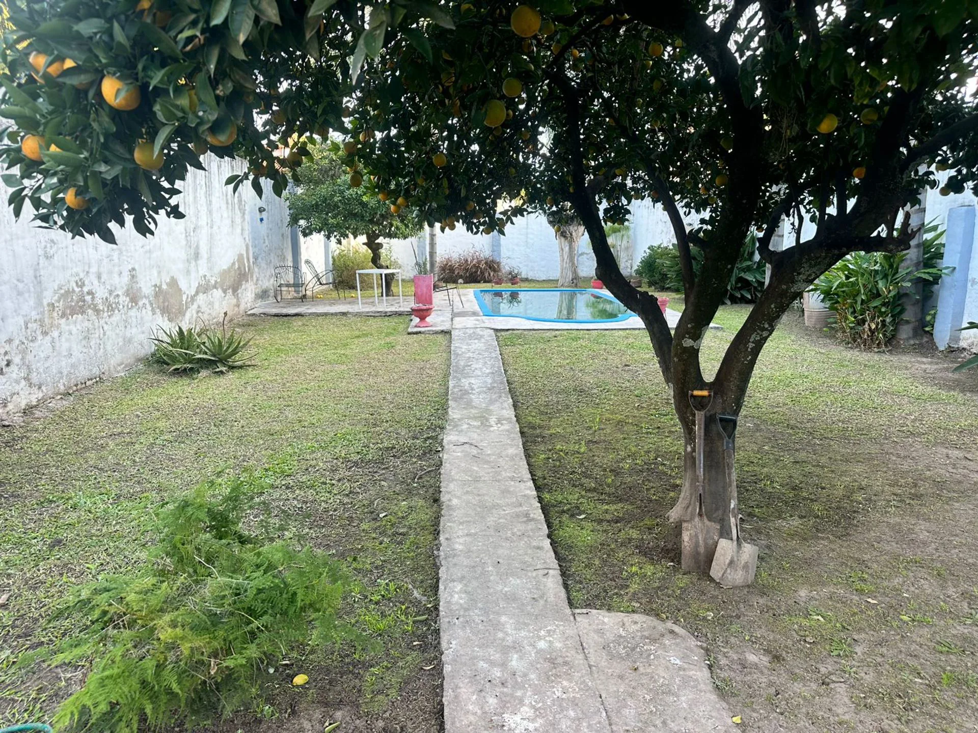 Venta casa 4 dormitorios zona parque Guillermina foto 3