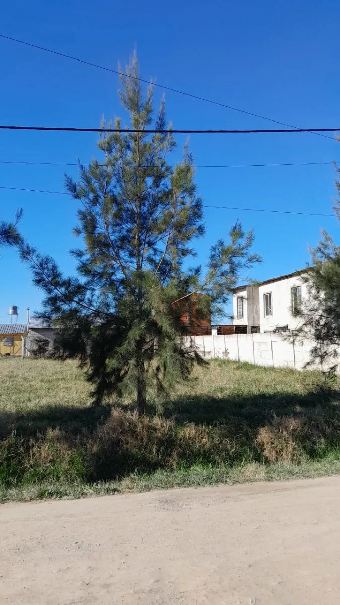 Lote en Barrio abierto Moradas de Maximo, Maximo Paz, Cañuelas. foto 2