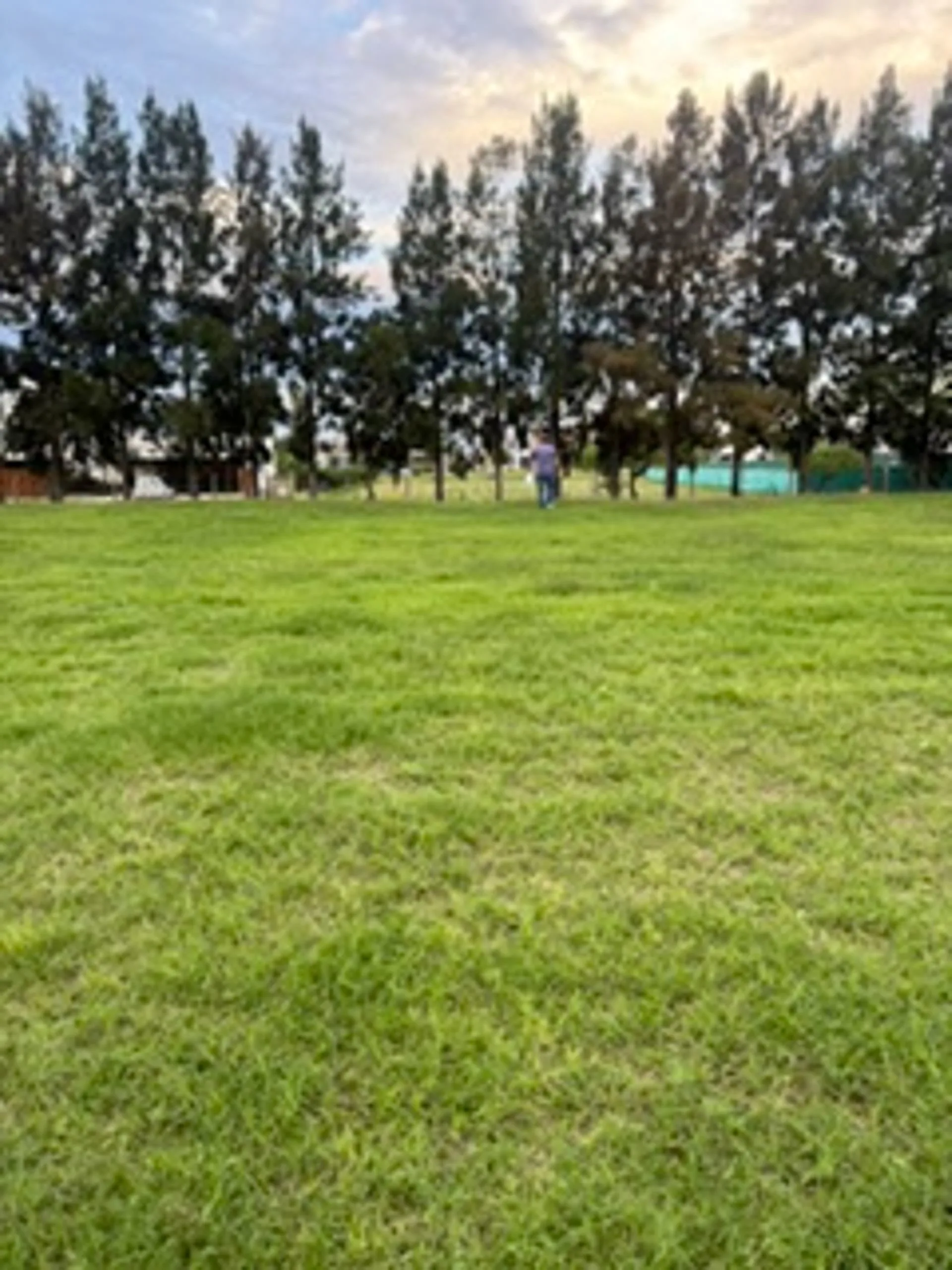 LOTE EN VENTA EN BARRIO LAS VICTORIAS CANNING foto 2