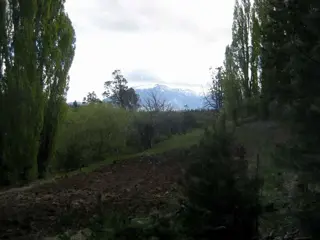 Excelente Finca de 27Has sobre asfalto con cabaña, arroyo y manantial foto 1